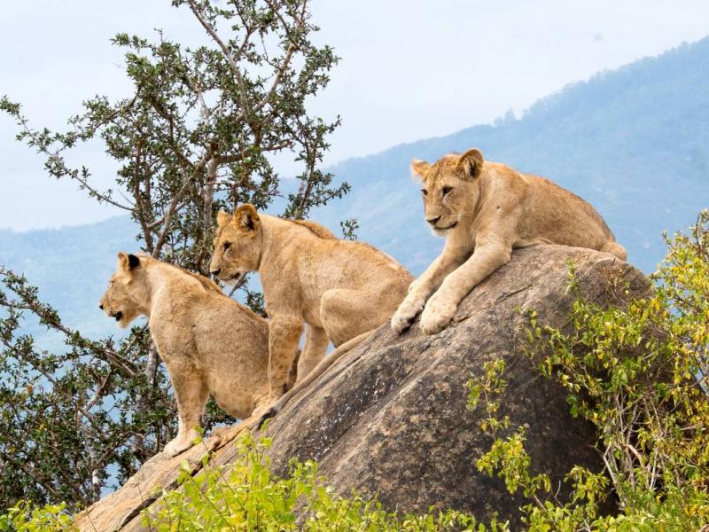 7 reasons why traveling makes you better Mombasa Road Safaris